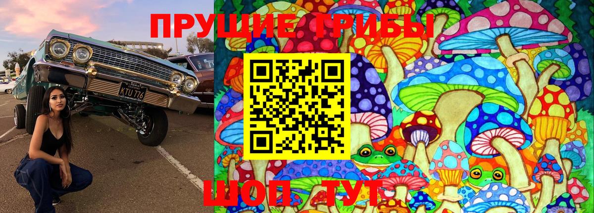 Галлюциногенные грибы мицелий Свободный