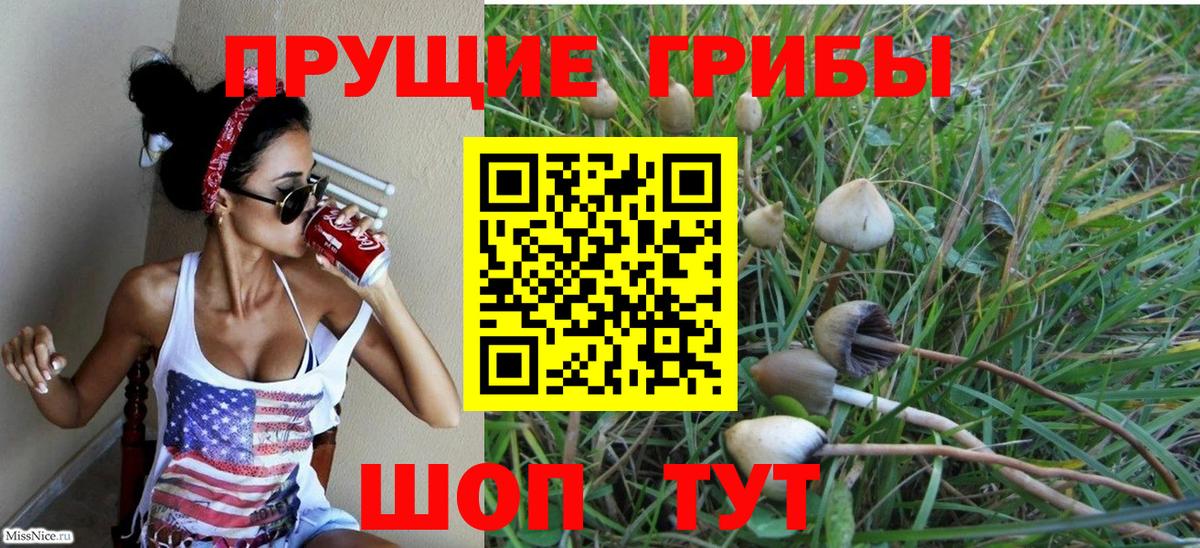 Галлюциногенные грибы мухоморы  Псилоцибиновые грибы GOLDEN TEACHER  Свободный  Вход с VPN 